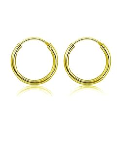 Gold Polish 2 mm Thick 12mm Plain Round Silver Hoop