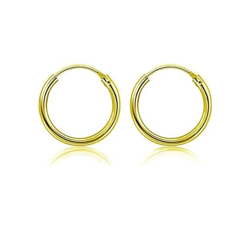 Gold Polish 2 mm Thick 12mm Plain Round Silver Hoop